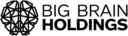 Big Brain Holdings | Lead investor