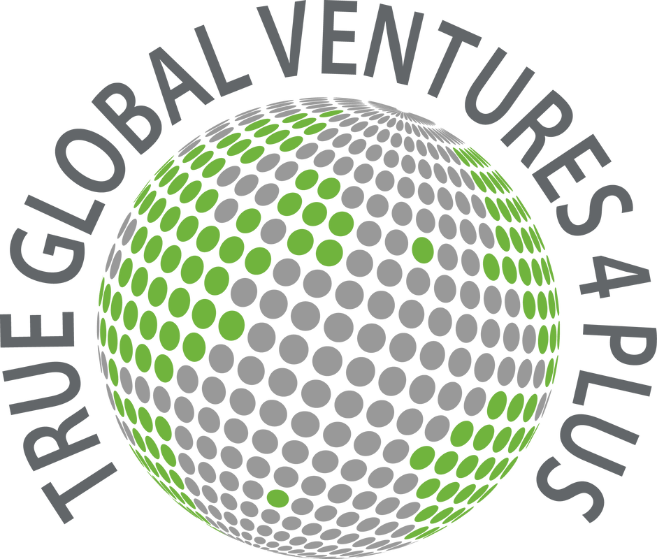 True Global Ventures | Lead investor