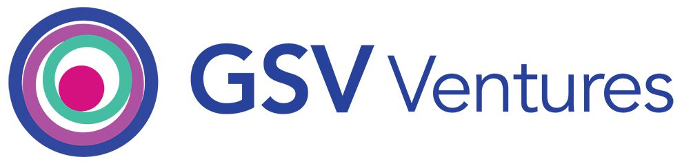 GSV Ventures (Global Silicon Valley) | Lead investor