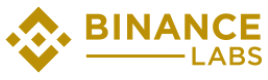 Binance Labs Fund | Lead investor